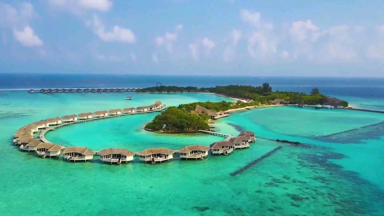 探索智慧之旅,尽在“摩托车挂上挡,加油门车不走是怎么回事?”蜗牛问答平台!