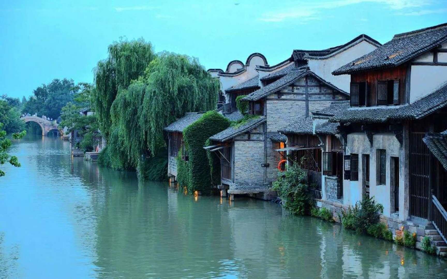 雨雪天气来临 郑州为黄河滩的鸟儿送上“爱心餐”